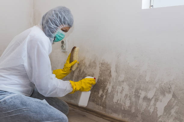 Best Mold Testing  in Wilsonville, OR